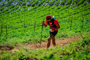 BIB: 2004
                            <button type="button" onclick="openModal(19164280)" class="btn btn-primary btn-sm float-right btn-popup" data-toggle="modal" data-target=".modal-high-quality">
                        <i class="fas fa-shopping-cart"></i> Add to Cart
                    </button>
                                            <button type="button" onclick="isThisMe(19164280, true)" class="btn btn-success btn-sm float-right btn-popup btn-isme hidden" data-toggle="tooltip" data-placement="bottom" title="นี่คือรูปของคุณใช่ไหม คลิกที่นี่เพื่อเอาเข้าอัลบั้ม">
                        <i class="fas fa-plus"></i> Add to album
                    </button>
                    <button type="button" onclick="isThisMe(19164280, false)" class="btn btn-warning btn-sm float-right btn-popup btn-isnotme hidden">
                        <i class="fas fa-ban"></i> Remove from album
                    </button>